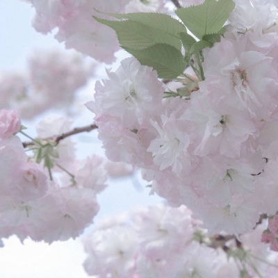 Furry绘画改稿思路兽圈群